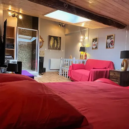 Maison Le 22' Lyon Express - A Proximite De La La Plaine De L'ain Apartment
